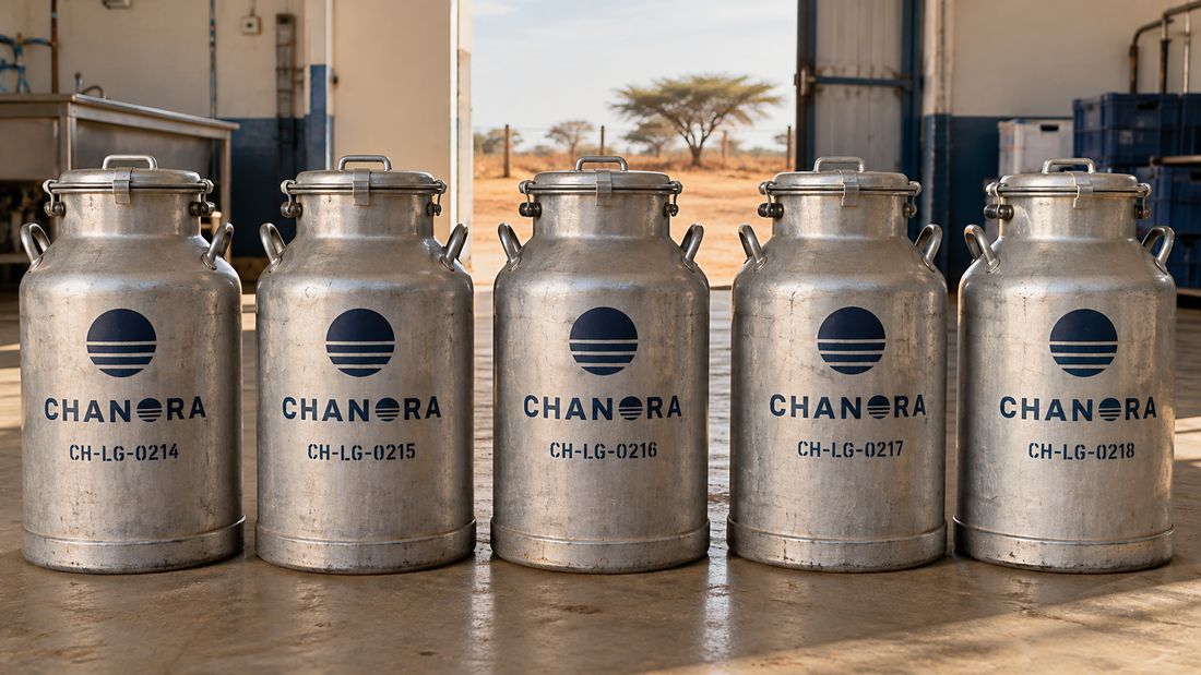 Numbered Chanora milk cans